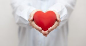 Physician holding model of heart